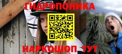 прущие крисы Кунгур