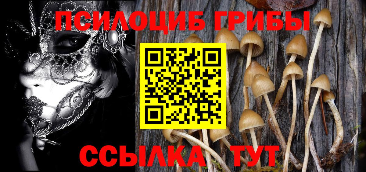 Галлюциногенные грибы Cubensis  Вход с VPN  Звенигород 